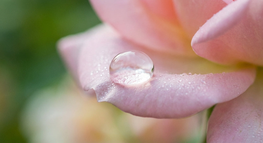 L'importance d'un pH vaginal équilibré